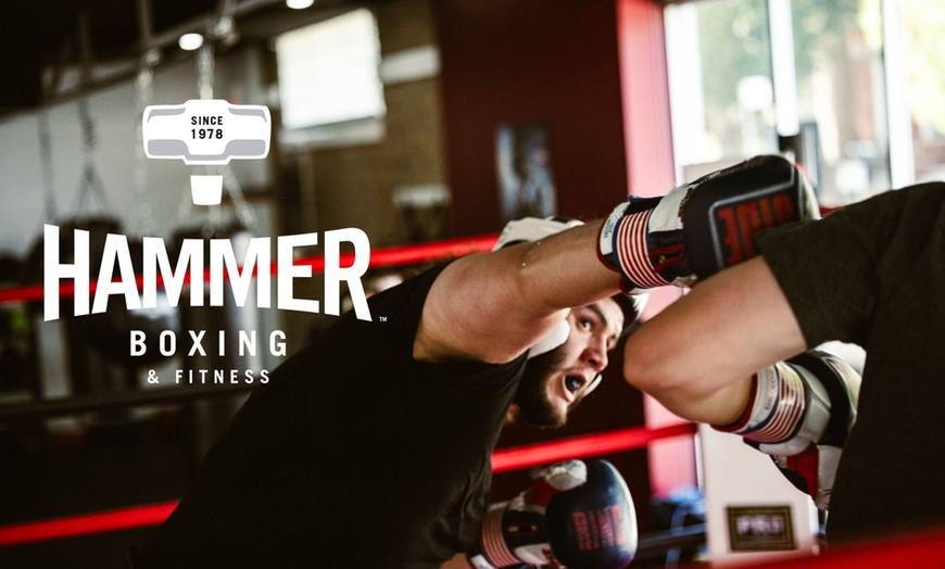Image 1: Up to 50% Off Boxing Classes at Hammer Fitness and Boxing