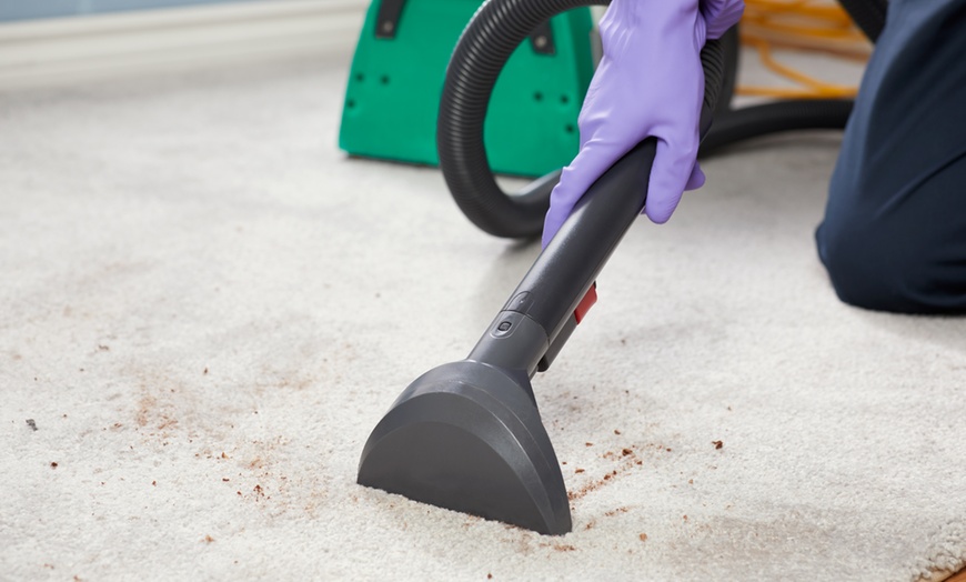 Image 1: Up to 40% Off Carpet Cleaning from Cleanbrite