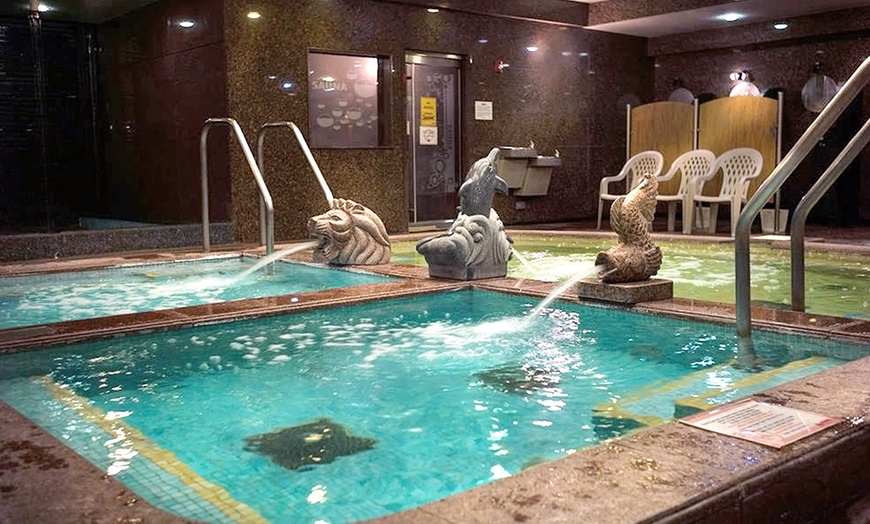 Image 1: General Spa Admission at King Spa and Sauna